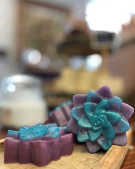 emerald agave succulent soap bar blue and purple