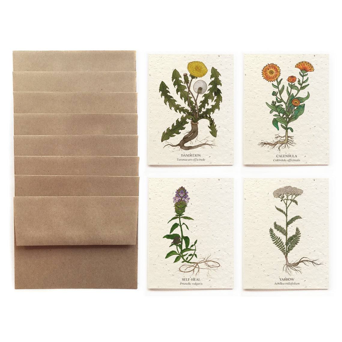 Planted Greeting Cards Set