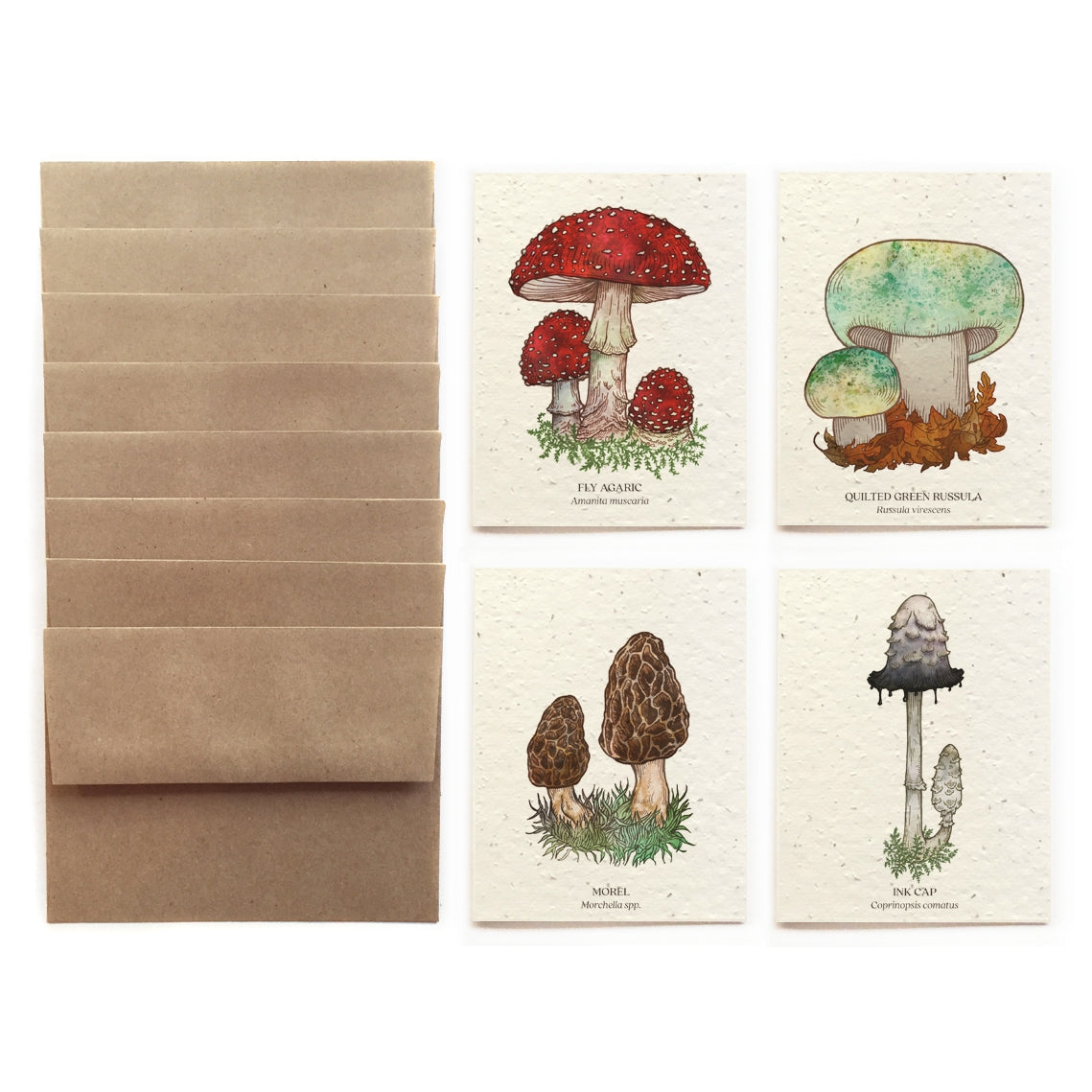 Planted Greeting Cards Set